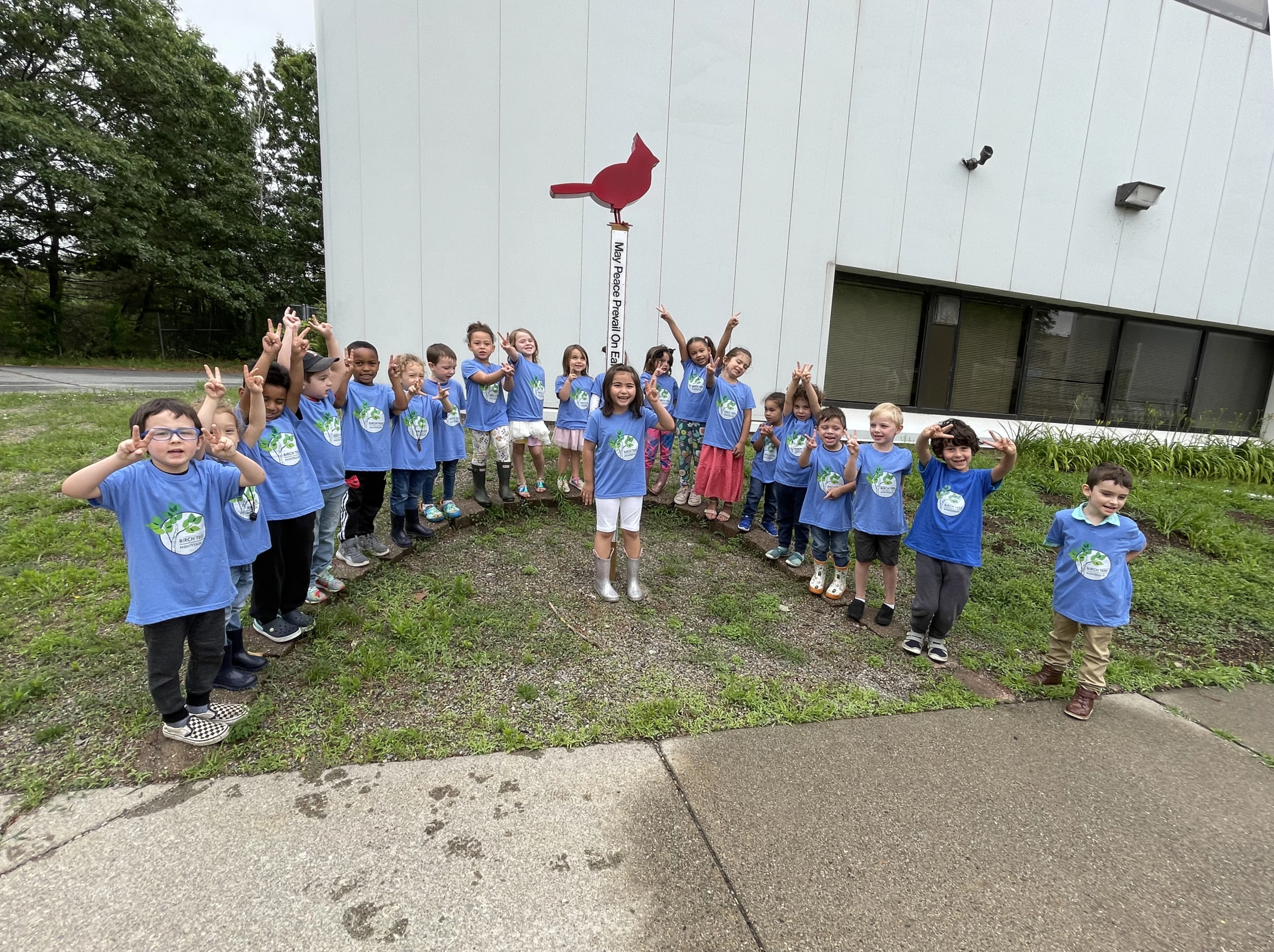 Birch Tree Montessori