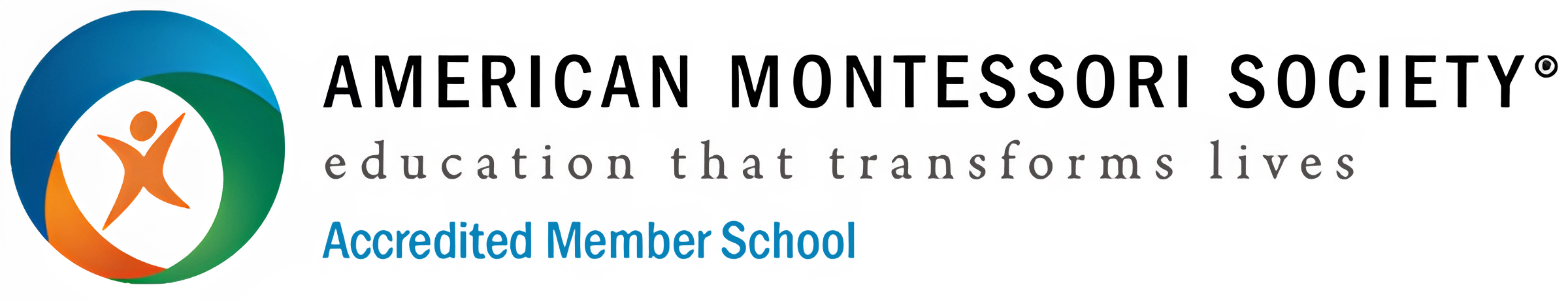 AMS Logo