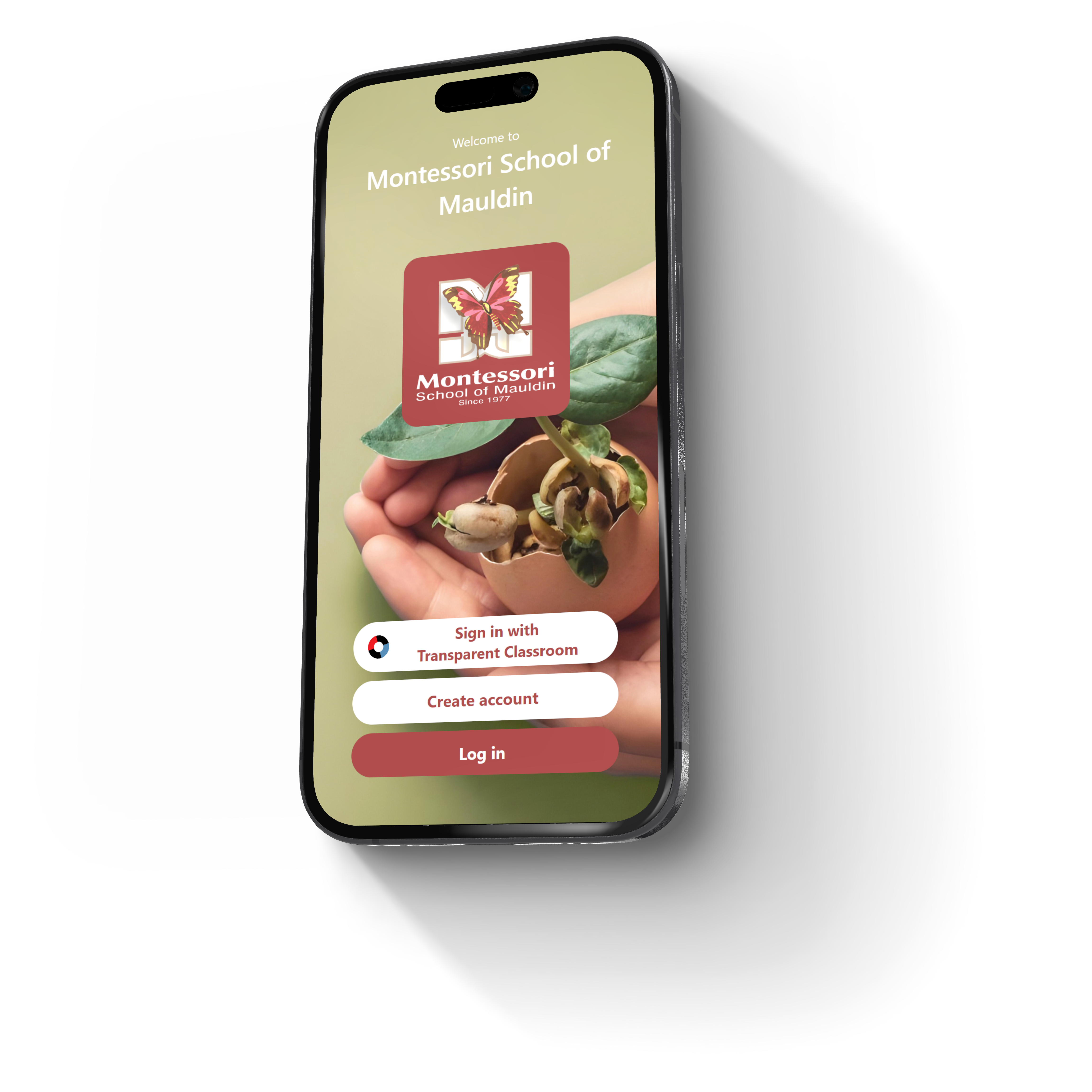 MSA App phone mockup