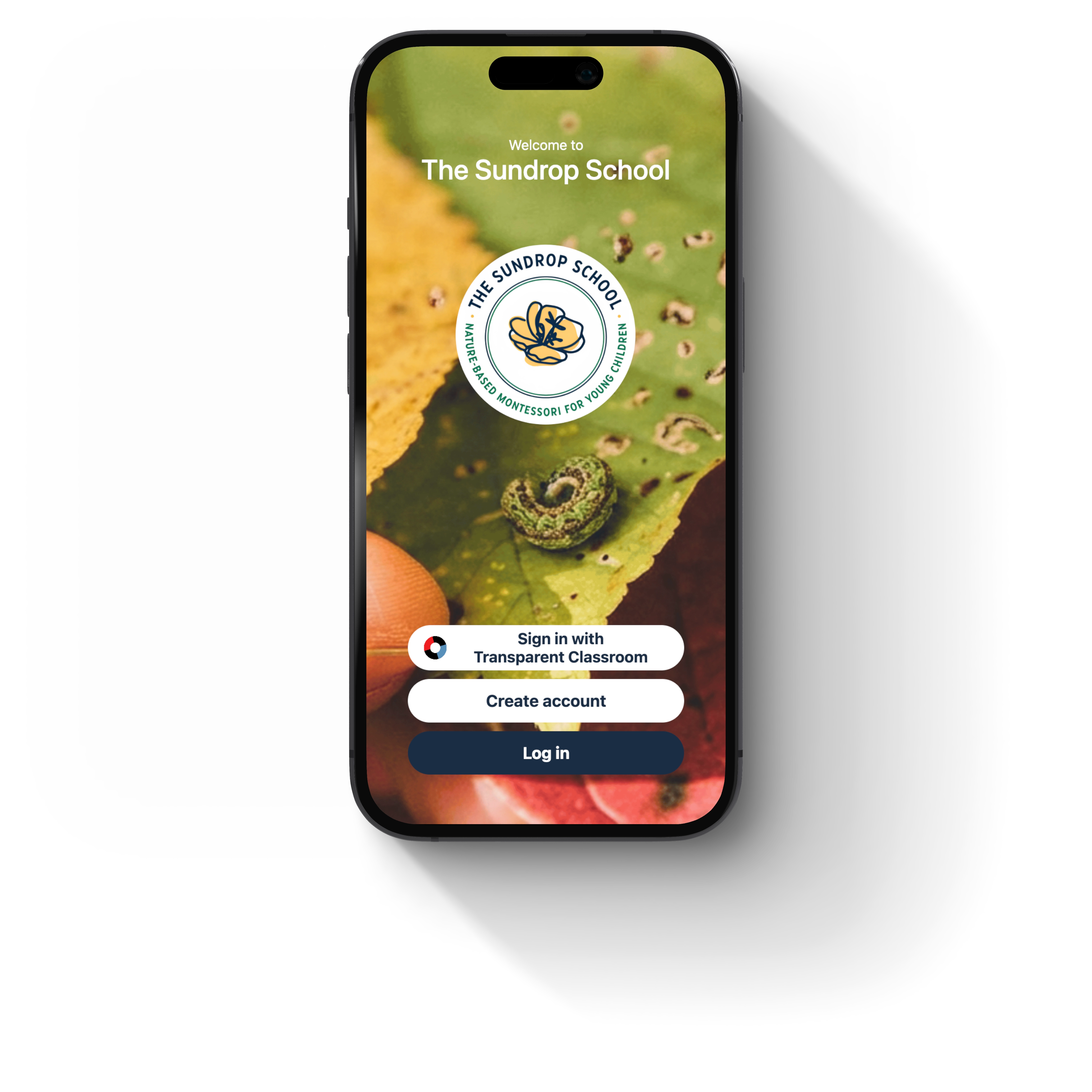 The Sundrop School app mockup